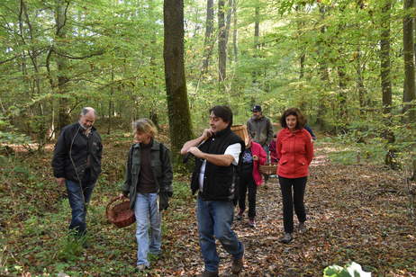 Fte de la pomme 2017 sortie matinale