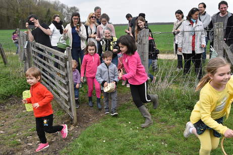 Chasses aux oeufs 2018